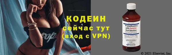 крисы Инсар